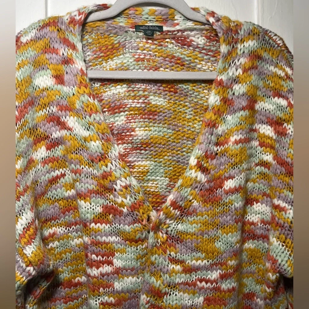 Wild Fable Multicolor Cardigan Sweater with Button Fastener